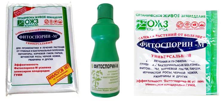 Фитоспорин для комнатных растений: как и когда применять