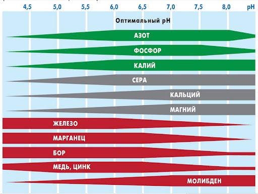 Что такое хлороз и как он выглядит?