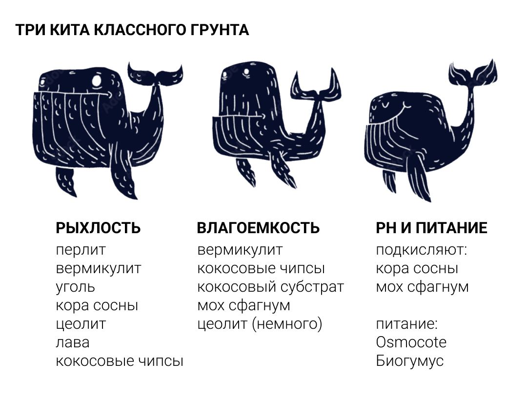 Как составить грунт для комнатных растений: компоненты