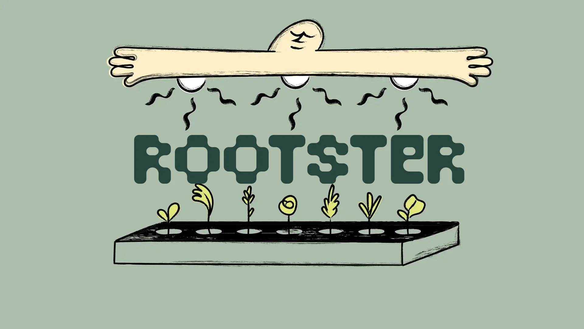 Прямой эфир: Фитолампы Rootster: свет для растений от разработчика