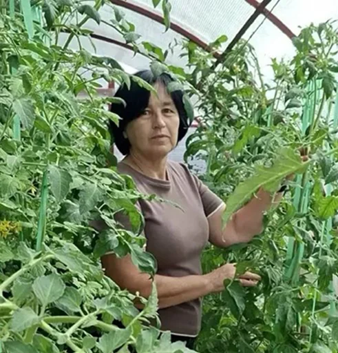 Трофимова Елена Владимировна